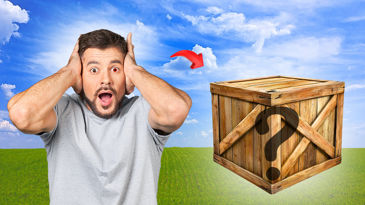 Portfolio Thumbnail6
